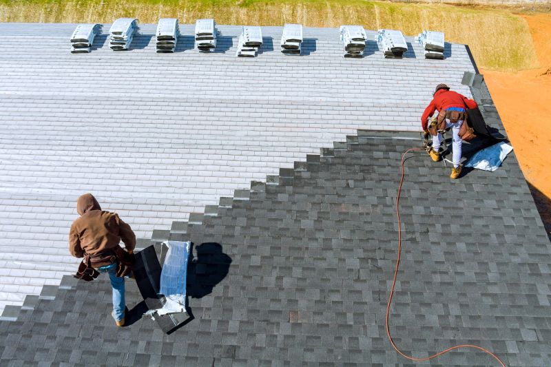Shingle Restoration