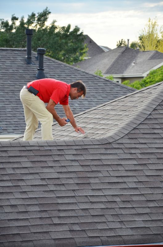 Experienced Roofing Professional